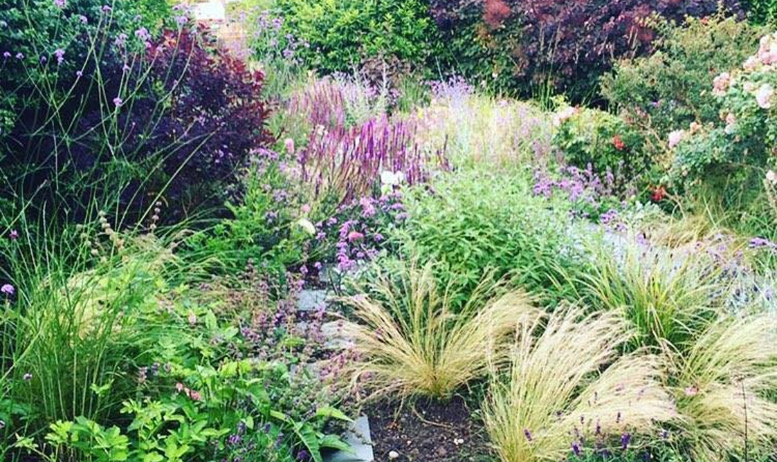 Finnegan gardens case study 05 picture